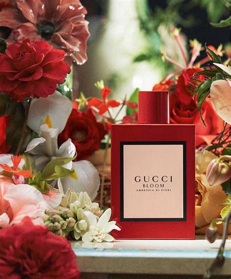 profumo gucci bloom ambrosia di fiori|gucci bloom ambrosia perfume.